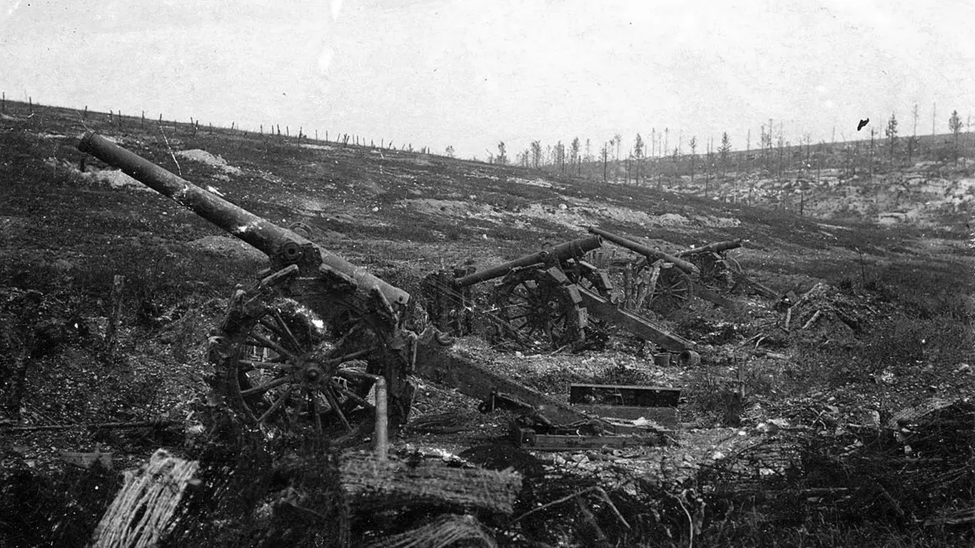 Верденская мясорубка 1916.