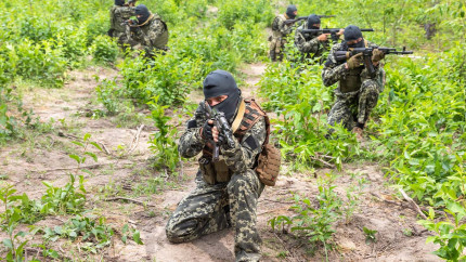 Киев решил использовать в СВО «мясную политику»