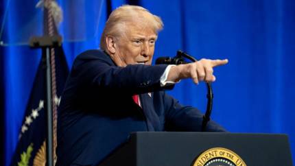 Дедлайн обозначен. Трамп усиливает давление на Киев ради завершения конфликта