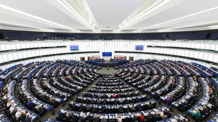 Скандал в Европарламенте: польский депутат разорвала флаг Бандеры