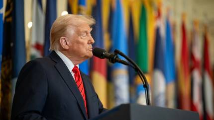 США и НАТО: Трамп обсуждал сокращение войск в Европе на треть