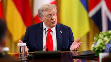 Гнев Трампа: чего опасаются союзники Украины