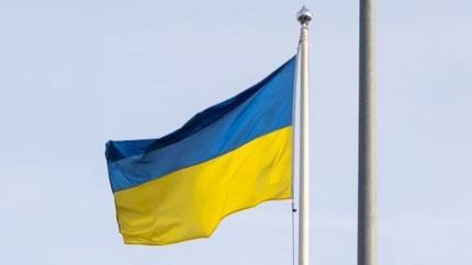 «Такое уже было»: почему Украина повторяет судьбу гитлеровской Германии