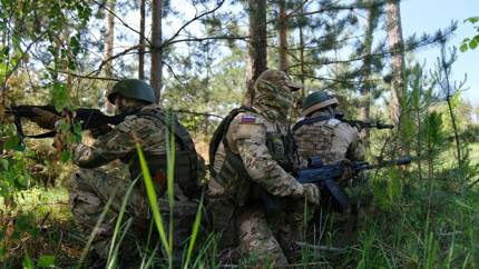 «Свои» на украинском: десантники заняли опорник ВСУ в Васильевке