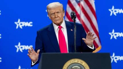 Разрешения не дали: Трамп не поддержал просьбу Киева по Starlink