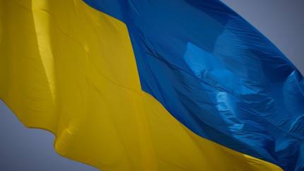 Ещё 35 лет под вопросом: Украине предрекли тяжёлые демографические последствия