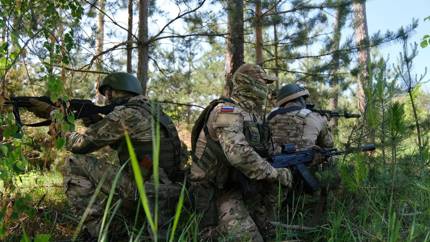 Почти год в лесной норе: что увидели российские разведчики